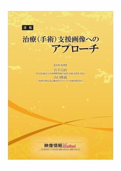 治療（手術）支援画像へのアプローチ 2019年04月11日発売号 表紙