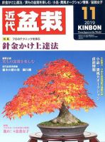 月刊 近代盆栽 2019年11月号 表紙