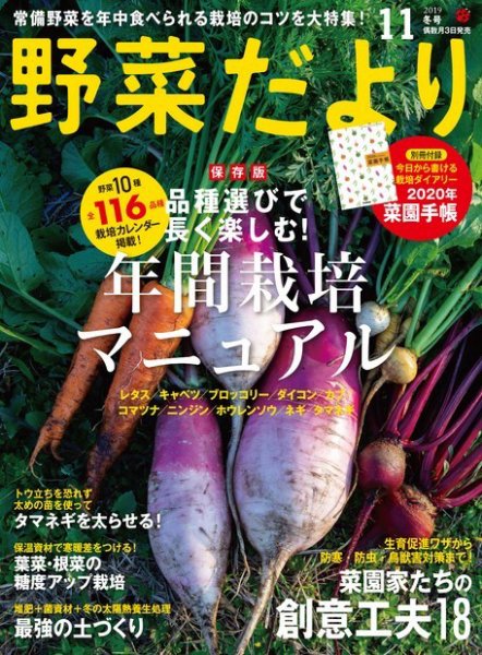 野菜だより 2019年11月号 (発売日2019年10月03日) 表紙