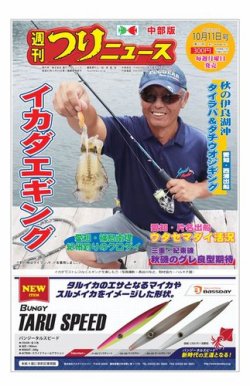 新着伊良湖 エギング すべての魚の画像