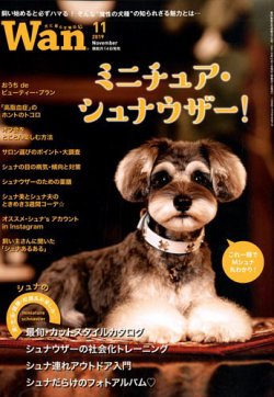 雑誌 定期購読の予約はfujisan 雑誌内検索 ライフ かわいい がwan わん の19年10月12日発売号で見つかりました