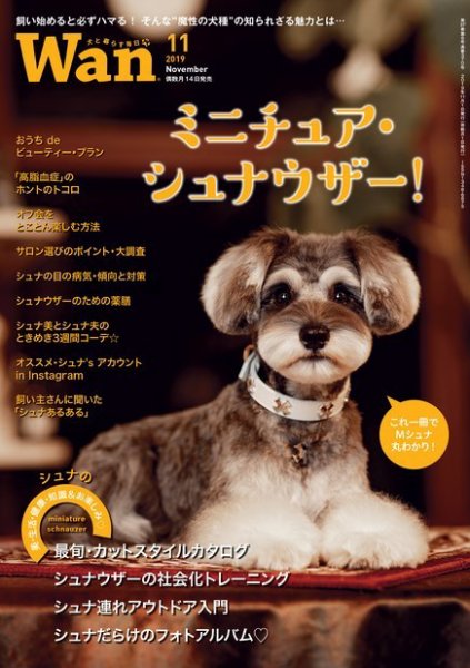 wan（わん） 2019年11月号 (発売日2019年10月12日) 表紙