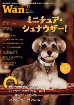 雑誌/定期購読の予約はFujisan 雑誌内検索：【ライフ かわいい】 がwan（わん）の2019年10月12日発売号で見つかりました！