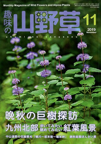 趣味の山野草 雑誌 まとめ売り 趣味の山野草 2019年11月号 (発売日2019年10月12日) | 雑誌/定期購読の