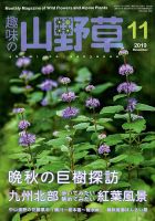 趣味の山野草 2019年11月号 (発売日2019年10月12日) | 雑誌/定期購読の