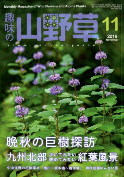 趣味の山野草 2019年11月号 (発売日2019年10月12日) | 雑誌/定期購読の
