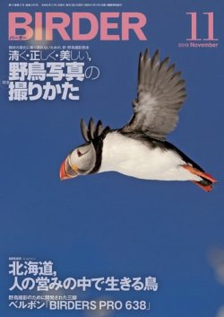 BIRDER（バーダー） 2019年11月号 (発売日2019年10月16日) 表紙