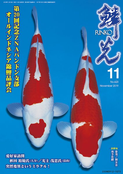 鱗光 2019年10月15日発売号 表紙