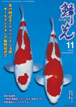 錦鯉の専門雑誌『鱗光』バックナンバー を含みます 鱗光 2019年10月15日発売号 | 雑誌/定期購読の予約はFujisan