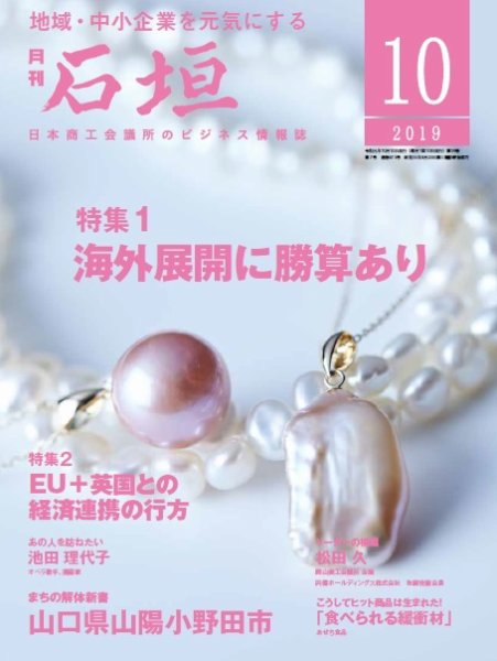 月刊 石垣 2019年10月号 (発売日2019年10月10日) 表紙