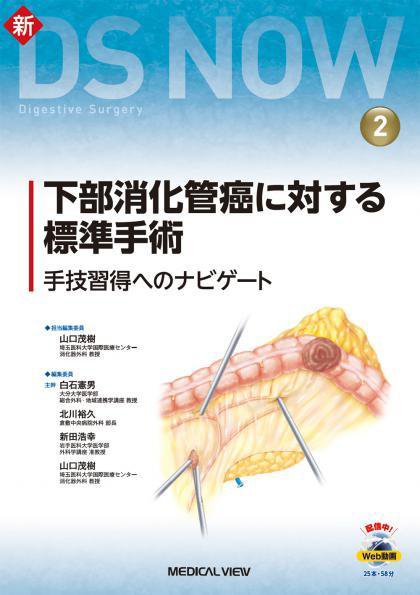 新DS NOW No.2 (発売日2019年03月30日) 表紙