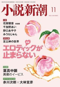 小説新潮 19年11月号 19年10月21日発売 雑誌 定期購読の予約はfujisan