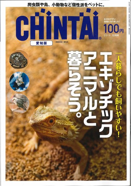 CHINTAI愛知版 2019年12月号 (発売日2019年10月24日) 表紙