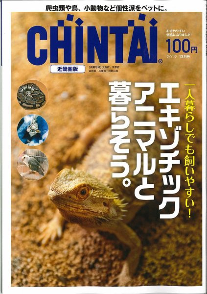 CHINTAI近畿圏版  2019年12月号 (発売日2019年10月24日) 表紙