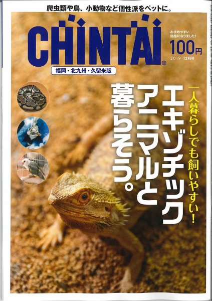 CHINTAI福岡・北九州・久留米版 2019年12月号 (発売日2019年10月24日) 表紙