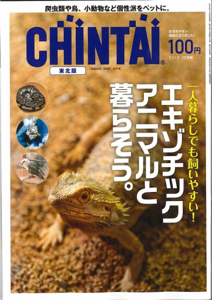CHINTAI東北版 2019年12月号 (発売日2019年10月24日) 表紙