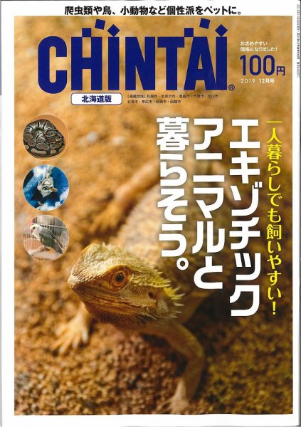 CHINTAI北海道版 2019年12月号 (発売日2019年10月24日) 表紙