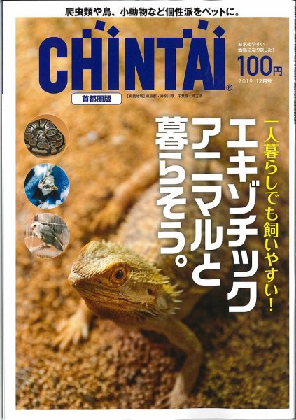 CHINTAI首都圏版 2019年12月号 (発売日2019年10月24日) 表紙