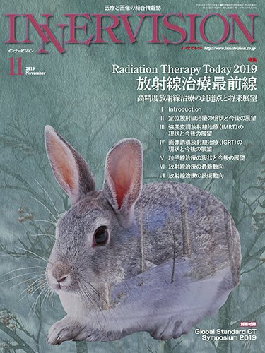 INNERVISION（インナービジョン） 2019年11月号 (発売日2019年11月01日) 表紙