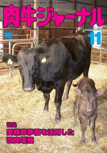 肉牛ジャーナル 2019年11月号 (発売日2019年11月01日) 表紙