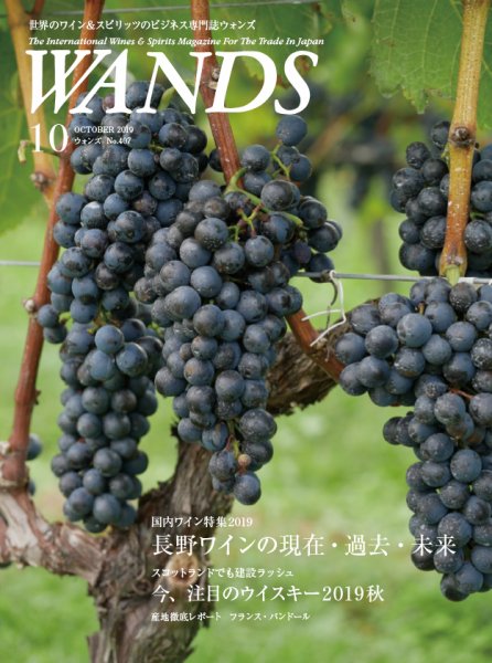 WANDS（ウォンズ） No.407 (発売日2019年10月05日) 表紙