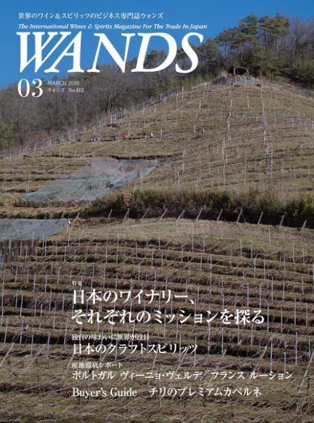 WANDS（ウォンズ） No.412 (発売日2020年03月05日) 表紙