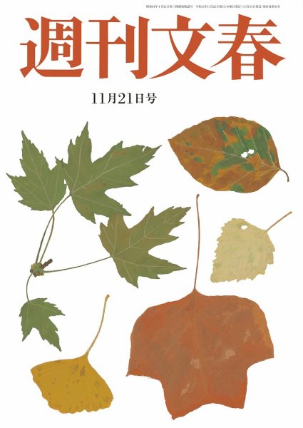 週刊文春 2019/11/21号 (発売日2019年11月14日) 表紙