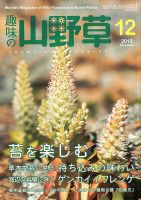 趣味の山野草 2019年12月号 (発売日2019年11月12日) 表紙