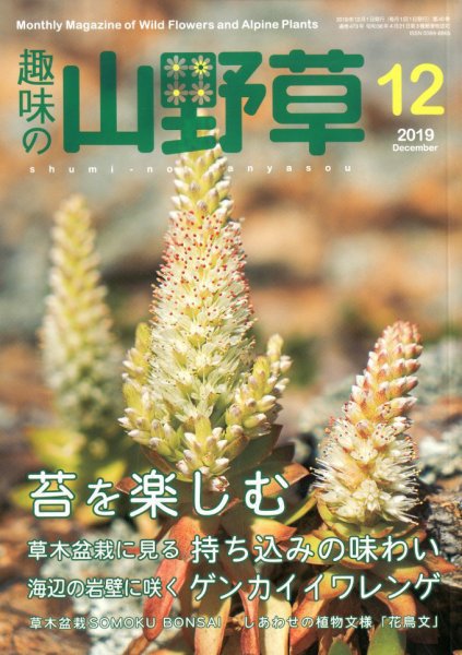 趣味の山野草 2019年12月号 (発売日2019年11月12日) 表紙