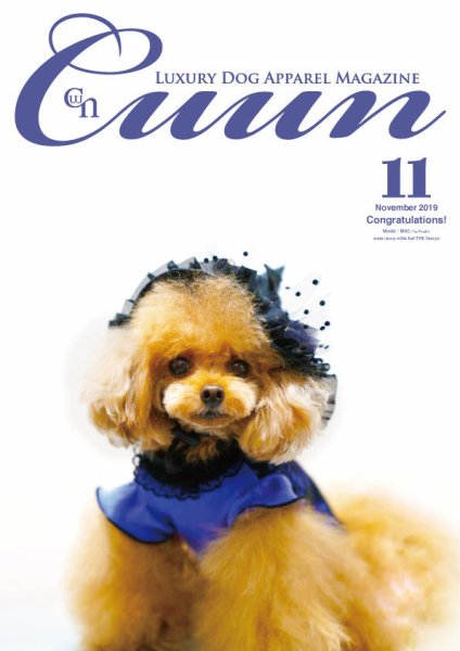 Cuun（クーン） 2019年11月号 (発売日2019年11月10日) 表紙