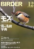 BIRDER（バーダー） 2019年12月号 表紙