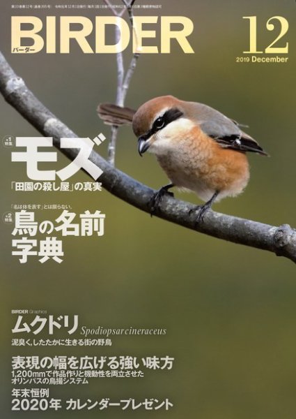 BIRDER（バーダー） 2019年12月号 (発売日2019年11月15日) 表紙