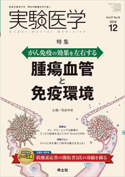 実験医学 Vol.37No.19 (発売日2019年11月20日) 表紙