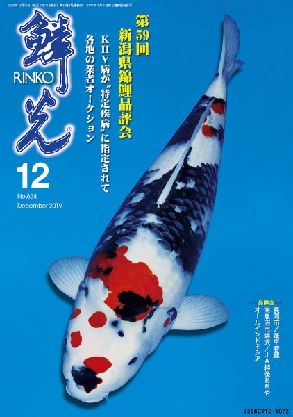 鱗光 2019年11月15日発売号 表紙
