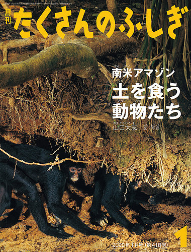 2019年〜2020年 たくさんのふしぎ 福音館書店 - 絵本