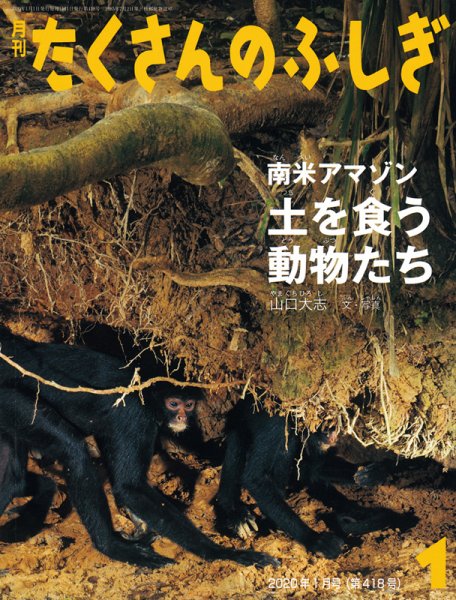 たくさんのふしぎ 2020年1月号 (発売日2019年12月03日) 表紙