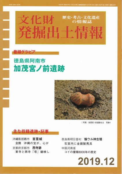 文化財発掘出土情報 463号 (発売日2019年12月01日) 表紙