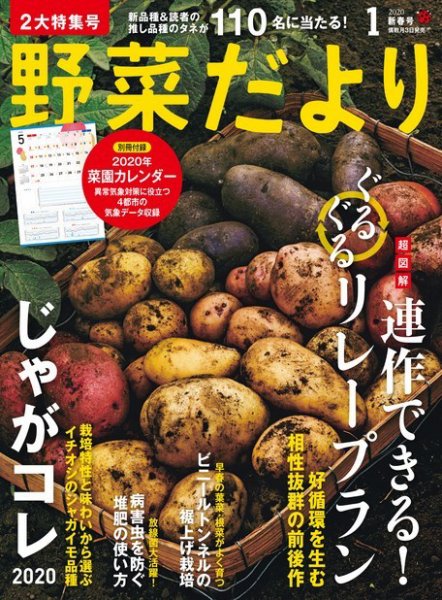 野菜だより 2020年1月号 (発売日2019年12月03日) 表紙
