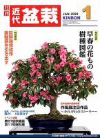 月刊 近代盆栽 2020年1月号 表紙