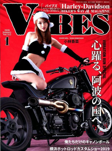 VIBES（バイブズ） 2020年1月号 (発売日2019年12月11日) 表紙