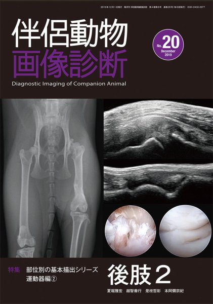 伴侶動物画像診断 第20号 (発売日2019年12月05日) 表紙