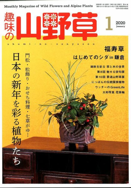 趣味の山野草 2020年1月号 (発売日2019年12月12日) 表紙
