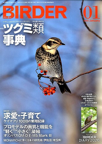 BIRDER（バーダー） 2020年1月号 (発売日2019年12月16日) | 雑誌/電子