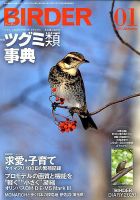 BIRDER（バーダー） 2020年1月号 表紙