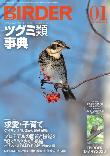 BIRDER（バーダー） 2020年1月号 (発売日2019年12月16日) 表紙