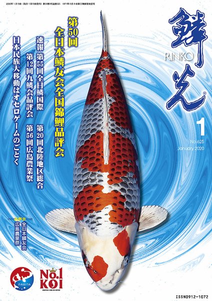 鱗光 2019年12月15日発売号 表紙
