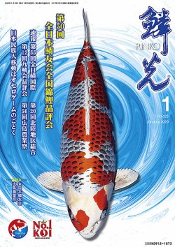 鱗光 2019年12月15日発売号 | 雑誌/定期購読の予約はFujisan