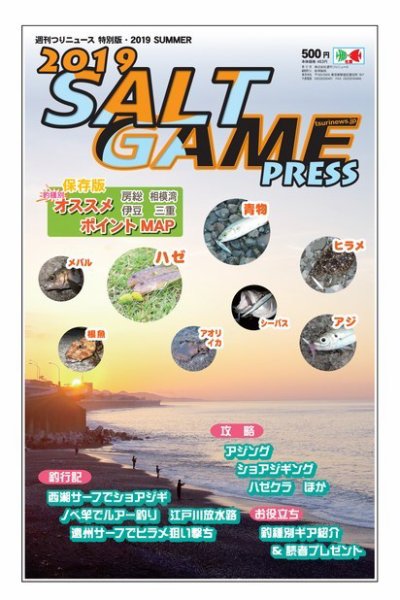 SALT GAME PRESS（ソルトゲームプレス） 2019 SUMMER (発売日2019年07月08日) 表紙