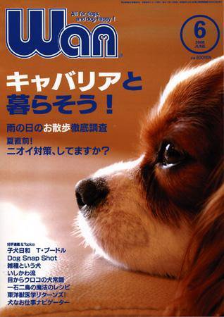 wan（わん） 2008年6月号 (発売日2008年05月14日) 表紙