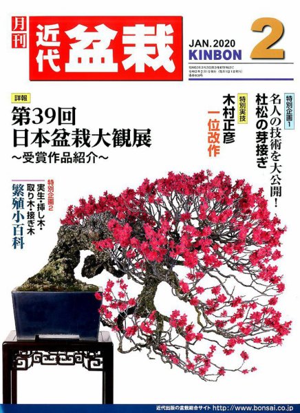 月刊 近代盆栽 2020年2月号 (発売日2019年12月28日) 表紙